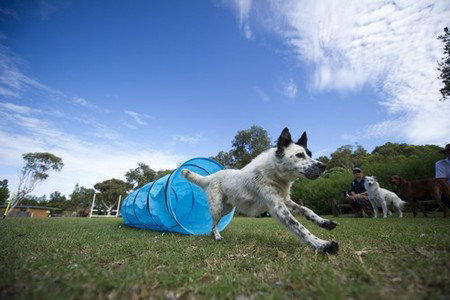 North Beach Holiday Park - Accommodation Great Ocean Road 1
