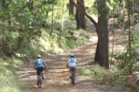 Craigmhor Mountain Retreat - Accommodation Great Ocean Road 2