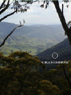Craigmhor Mountain Retreat - Accommodation Great Ocean Road 3