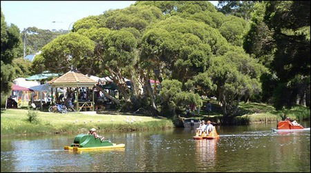 Misty Valley Country Cottages - Accommodation Great Ocean Road 2
