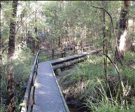 Misty Valley Country Cottages - Accommodation Great Ocean Road 3