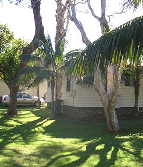 Arrawarra Beach Holiday Park - Accommodation Great Ocean Road 1