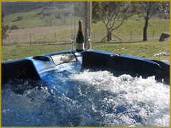 Henlie Park Bed & Breakfast - Accommodation Great Ocean Road 1