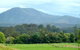 Bellingen Farmstay - thumb 4