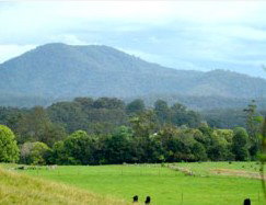 Bellingen Farmstay - Accommodation Great Ocean Road 4