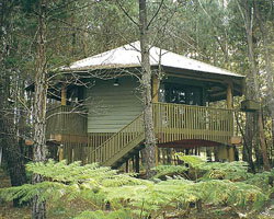 Possums Hideaway - Accommodation Great Ocean Road 0