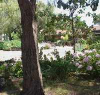 Peaceful Bay Bed and Breakfast - Accommodation Great Ocean Road