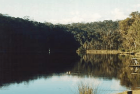 Rest Point Holiday Village - Accommodation Great Ocean Road 1