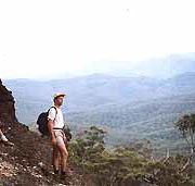 Mimosa Hill Wildflower Farm Cottages - Accommodation Great Ocean Road