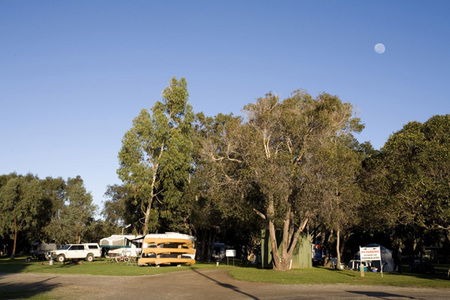 Molloy Caravan Park - Accommodation Great Ocean Road 1
