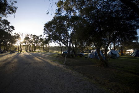 Molloy Caravan Park - Accommodation Great Ocean Road 3