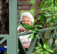 Pemberton Caravan Park - Accommodation Great Ocean Road