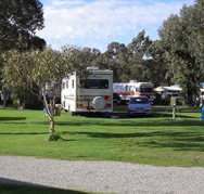Pinjarra Caravan Park - Accommodation Great Ocean Road