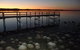 Lake Clifton Caravan Park - thumb 0