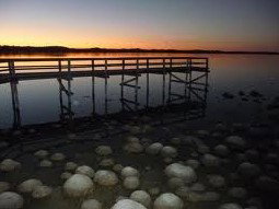 Lake Clifton Caravan Park - Accommodation Great Ocean Road 0