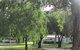 Lake Clifton Caravan Park - thumb 2