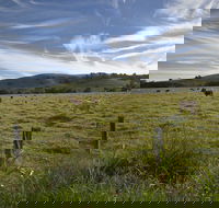 Annas Retreat - Accommodation Great Ocean Road