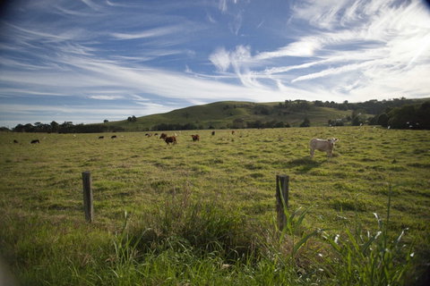 Annas Retreat - Accommodation Great Ocean Road 0