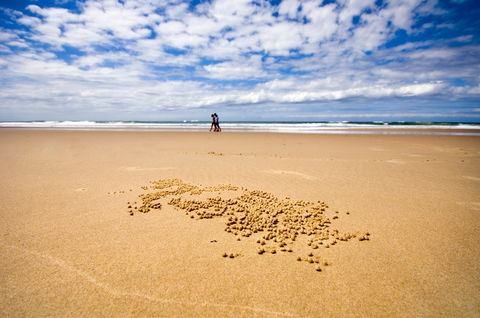 BIG4 Nambucca Beach Holiday Park - Accommodation Great Ocean Road 1