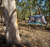 Boomeri campground - Accommodation Great Ocean Road