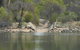 Boondi Rock Camp At Goldfields Woodlands National Park - thumb 0