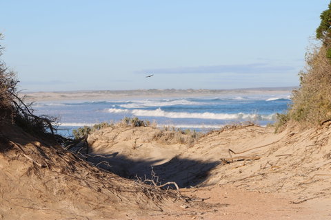 Chadinga Conservation Park Campground - Accommodation Great Ocean Road 0