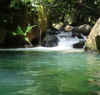 Daintree Secrets Rainforest Sanctuary - Accommodation Great Ocean Road