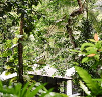 Daintree Ecolodge - Accommodation Great Ocean Road