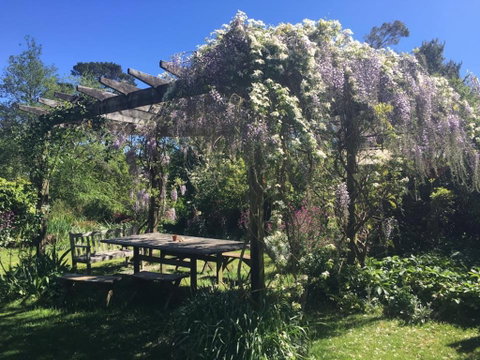 Hawthorne Cottage: Blackheath - Accommodation Great Ocean Road 2