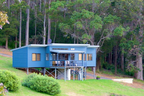 Karrak Reach Forest Retreat - Accommodation Great Ocean Road 0