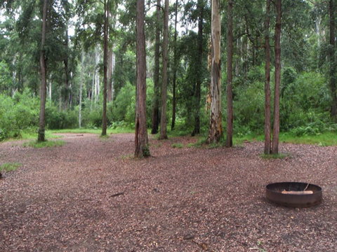 Murphys Glen Campground - Accommodation Great Ocean Road 0