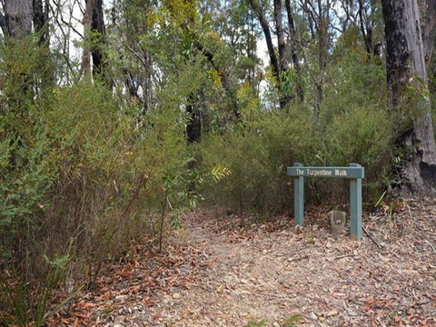 Murphys Glen Campground - Accommodation Great Ocean Road 2