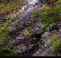 Nimbin Waterfall Retreat - Accommodation Great Ocean Road