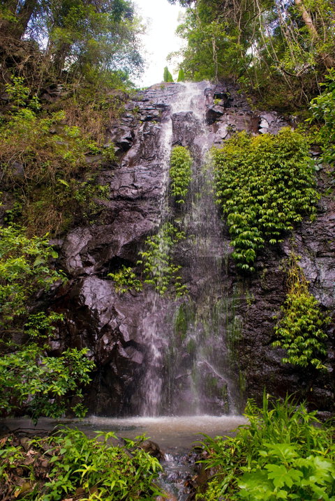 Nimbin Waterfall Retreat - Accommodation Great Ocean Road 0