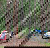 Wallingat River campground - Accommodation Great Ocean Road