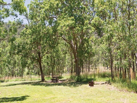Youdales Hut Campground And Picnic Area - Accommodation Great Ocean Road 0