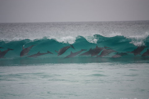 Bremer Bay Caravan Park - Accommodation Great Ocean Road 1