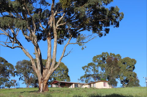 Clare View Accommodation - Clare View Cottage - Accommodation Great Ocean Road 2