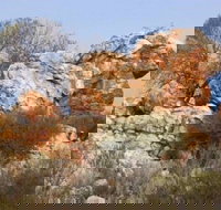 Credo Homestead Camp at Credo Conservation Park - Accommodation Great Ocean Road