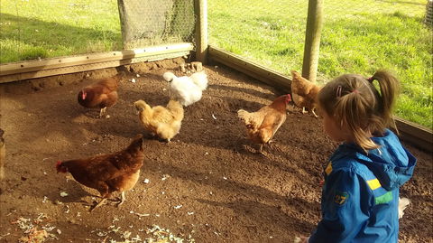 Emerald Park Holiday Farm - Accommodation Great Ocean Road 2