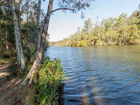 Ferny Creek Campground - Accommodation Great Ocean Road 0