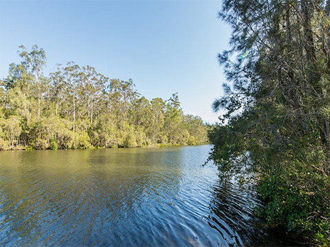 Ferny Creek Campground - Accommodation Great Ocean Road 1