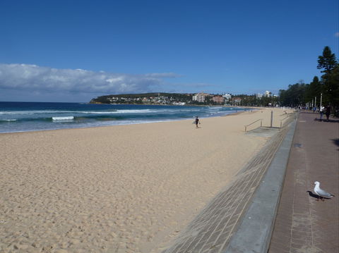 Manly Seaside Cottage - Accommodation Great Ocean Road 0