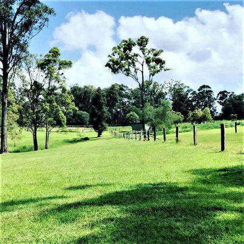 Sunshine Coast Farm Stay  - Accommodation Great Ocean Road 3
