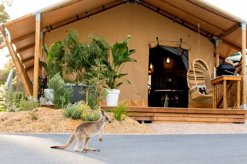 BIG4 Anglesea Holiday Park - Accommodation Great Ocean Road 2