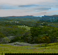 Nightcap Cottage - Accommodation Great Ocean Road