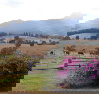 The Barn  House Farm Stay at Possum Manor - Accommodation Great Ocean Road