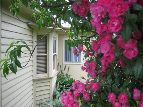Valley Views Bed And Breakfast - Accommodation Great Ocean Road 0