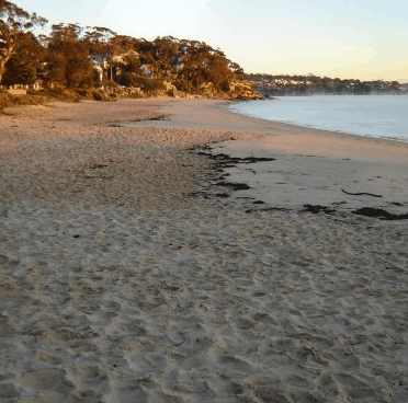 Beachhaven Bed & Breakfast - Accommodation Great Ocean Road 5