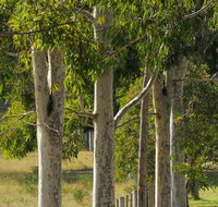 Stringybark Cottages - Accommodation Great Ocean Road